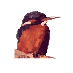 Leibnitz Leibnitz, Steiermark